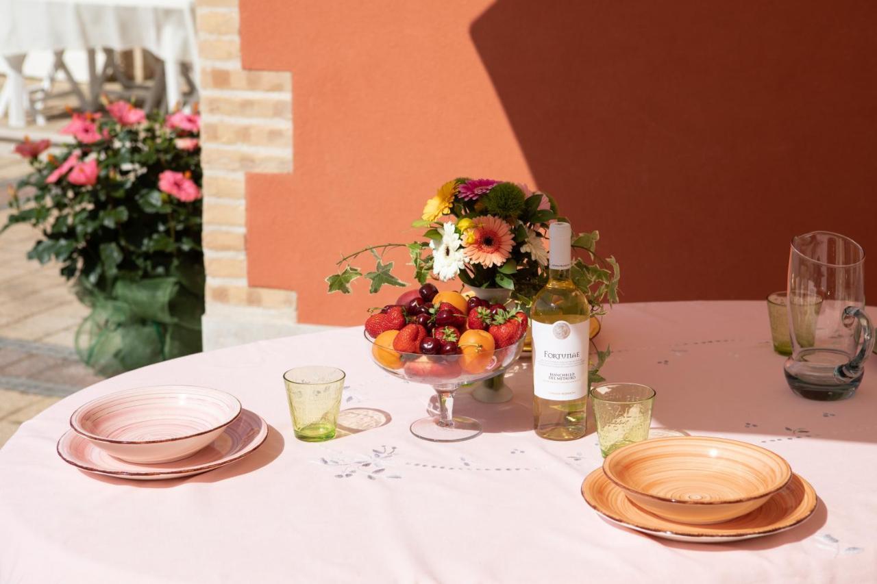 Fonte D'Olio Conero Relais Bed & Breakfast ซีโรโล ภายนอก รูปภาพ